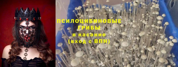 Альфа ПВП Абдулино
